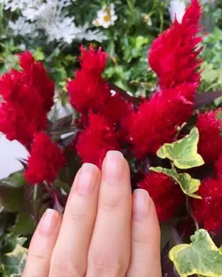 メンズ ネイル ハンドケア&ネイルケア桃の木所属・ケアリスト🍀 マリユキのネイルデザイン