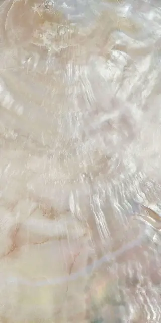 マツエク・マツパ SALON VILLAGE Yokohama所属・横浜アイリスト 藍田のマツエク・マツパデザイン