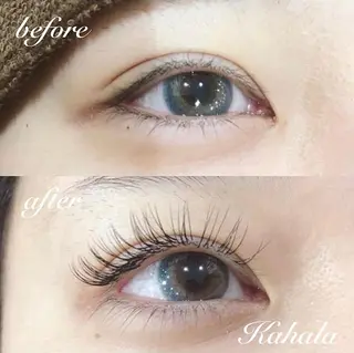 マツエク・マツパ Fujimoto 🦭⸝⋆꙳のマツエク・マツパデザイン