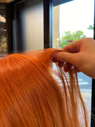 ミディアム カラー ハイトーン/ボブ/ レイヤー💫カイセイのヘアスタイル