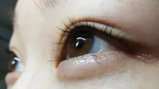 マツエク・マツパ angelux 所属・完全個室サロン🌹 angelux🌹のマツエク・マツパデザイン