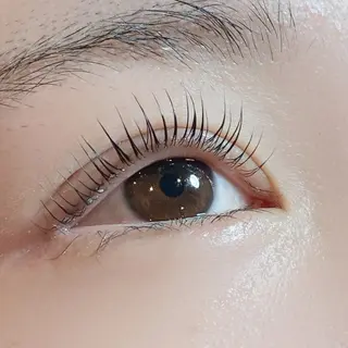 マツエク・マツパ TERRA MATSUZAWAのマツエク・マツパデザイン