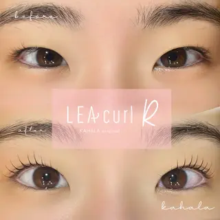 マツエク・マツパ Fujimoto 🦭⸝⋆꙳のマツエク・マツパデザイン