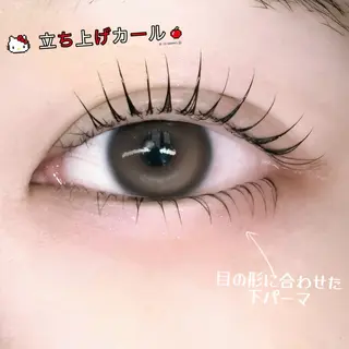 マツエク・マツパ FaB 千葉店所属・🩶LEDエクステ& 上下パーマRAN🪽のマツエク・マツパデザイン