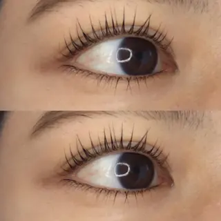 マツエク・マツパ 《eyelash ｉｉｔｅ》森のマツエク・マツパデザイン