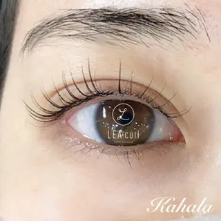 マツエク・マツパ Fujimoto 🦭⸝⋆꙳のマツエク・マツパデザイン