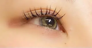 マツエク・マツパ 🌼Alba🌼 犬馬塲のマツエク・マツパデザイン