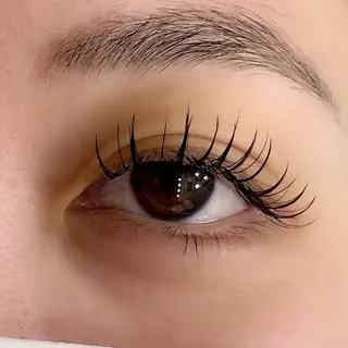 マツエク・マツパ Celeste Venus所属・🧸Celeste Venusのマツエク・マツパデザイン