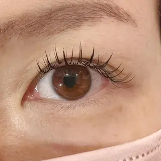 マツエク・マツパ Celeste Venus所属・🧸Celeste Venusのマツエク・マツパデザイン