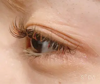 マツエク・マツパ 眉毛まつ毛専門店 uralogeのマツエク・マツパデザイン