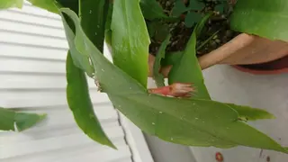 メナード水戸見川店　MENARD所属・黒坂 リカのその他イメージ