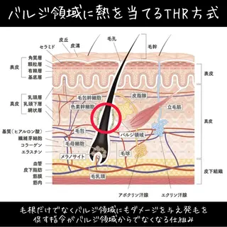 メンズ キッズ 有人型セルフサロン 脱毛/痩身/美顔のその他イメージ