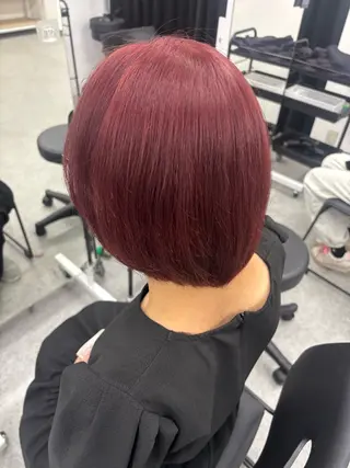 ショート カラー 韓国トレンドヘア🤍 Chima🤍のヘアスタイル