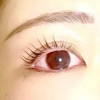 マツエク・マツパ Fave【フェイブ】 まつパ/眉毛/メンズのマツエク・マツパデザイン