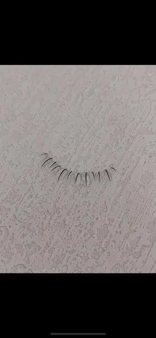 マツエク・マツパ 晴 海のマツエク・マツパデザイン