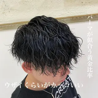 パーマ メンズ 三ノ宮フェザーパーマ 蕃本 啓利のヘアスタイル