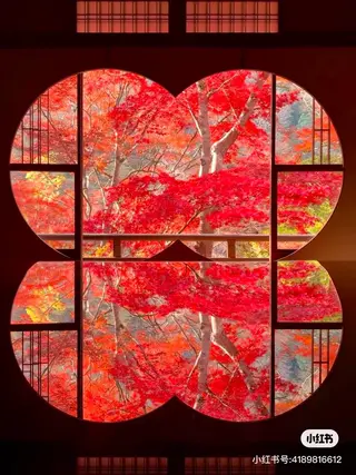 ネイル aliaハイフ&水光ジェットサロン所属・aliaハーブ水光店 エステティシャン募集のエステ・リラクイメージ