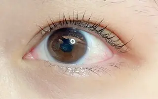 マツエク・マツパ 安藤 まりのヘアスタイル