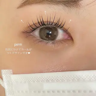 マツエク・マツパ アイブロウ Le Riad 水野のマツエク・マツパデザイン