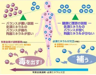 ショート カラー パーマ ヘアアレンジ メンズ キッズ ネイル マツエク・マツパ 痩身&ボディ 結果出し🌟丹野のエステ・リラクイメージ