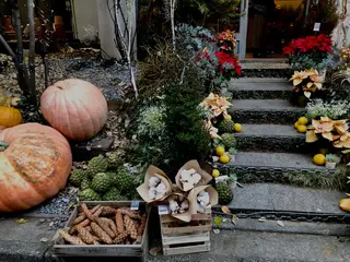 basico  のエステ・リラクイメージ