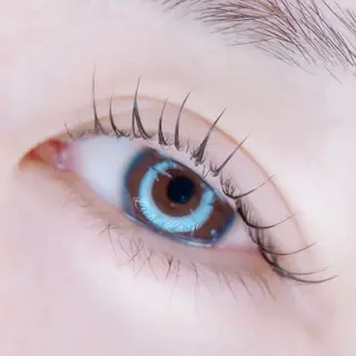 ãããšã¯ã»ããã Liebe Lash ðð¢ðã®ãããšã¯ã»ããããã¶ã€ã³