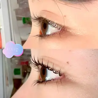 マツエク・マツパ 🌈ALEUM.🌈 アルムのマツエク・マツパデザイン