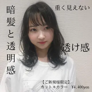 セミロング カラー 完全美髪特化 髪質改善/島　悠輔のヘアスタイル