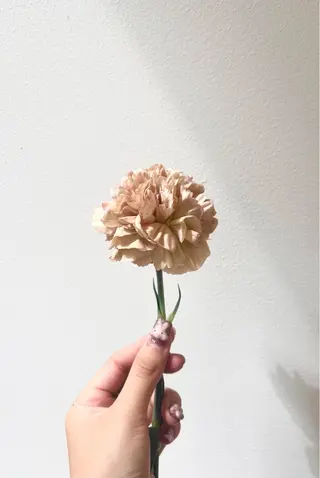 ロング カラー 暖色カラー/ ヘアセット🌛櫻井舞のヘアスタイル