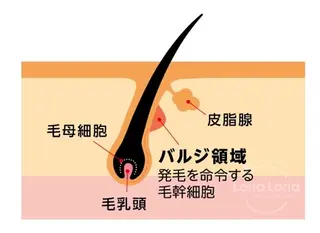 メルシー13所属・トータル美容サロン☆ 脱毛/小顔/毛穴洗浄のエステ・リラクイメージ