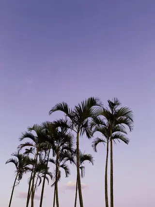 𝐘𝐎𝐒𝐇𝐈 𝐌𝐈🌞🏝のマツエク・マツパデザイン