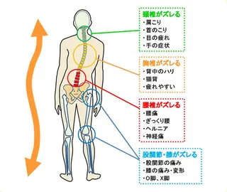 えびす整体院所属・evis daikiのエステ・リラクイメージ