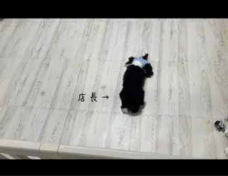 R@nail町田🫧所属・R@nail🫧町田 🫧らんのネイルデザイン