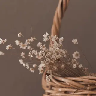 マツエク・マツパ 浦和駅近完全個室 Michikoのマツエク・マツパデザイン