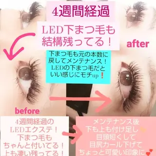 マツエク・マツパ ウイング美容室 eyelash&hair所属・eyelash Wingのマツエク・マツパデザイン
