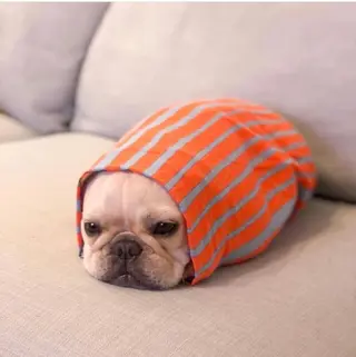 ショート ◆感動口コミ/最小顔 理論カット◆森口 峻のヘアスタイル