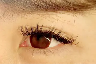 ใใใจใฏใปใใใ ๐๐๐๐๐ ๐๐๐๐ใฎใใใจใฏใปใใใใใถใคใณ