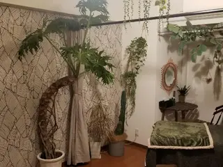 U_la所属・U_la [ウーラ] 片岡の眉毛・アイブロウイメージ