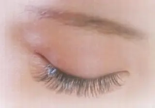 マツエク・マツパ Eyelash 予約受付スキンプロのマツエク・マツパデザイン