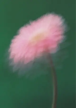 オト/レイヤー/ Wカラーのヘアスタイル