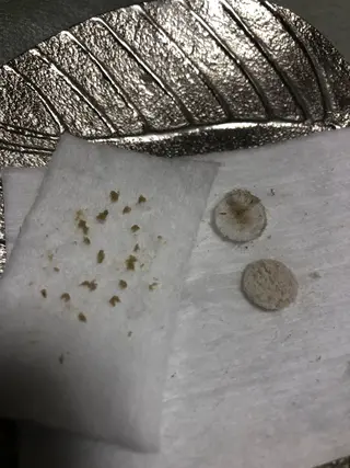 private salon Dea_maris シュガーリング&パーソナルボディケア所属・シミ改善・韓国肌管理 ボディメイク痩身のその他イメージ