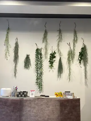 美容鍼灸サロン LOMIHARIのエステ・リラクイメージ