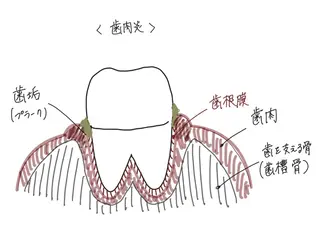ショート ホワイトニングサロン nico西葛西店のその他イメージ