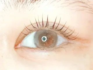 ãããšã¯ã»ããã ðððð ã¢ã€ãªã¹ã â€ïžã®ãããšã¯ã»ããããã¶ã€ã³