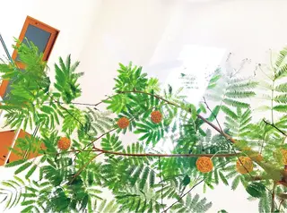 RENsalon大阪 体質改善リトリートのエステ・リラクイメージ