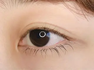 マツエク・マツパ 《eyelash ｉｉｔｅ》森のマツエク・マツパデザイン