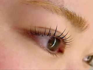 マツエク・マツパ 【束感まつ毛】 🐶Syunya🐶の眉毛・アイブロウイメージ