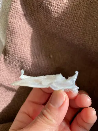 産毛専門店 Bittoのエステ・リラクイメージ