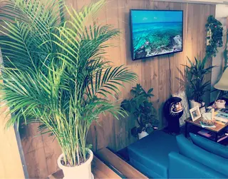 ショート カラー パーマ 髪質改善サロン Liko🌟のヘアスタイル