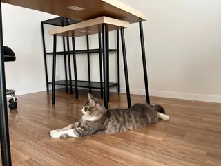 ネイル cie/42° NIJINAのネイルデザイン